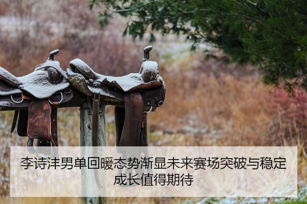 李诗沣男单回暖态势渐显未来赛场突破与稳定成长值得期待