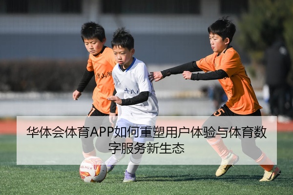 华体会体育APP如何重塑用户体验与体育数字服务新生态